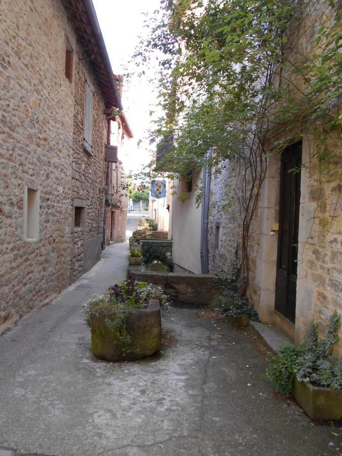 Willa 7 Rue Droite Saint-Antonin-Noble-Val Zewnętrze zdjęcie